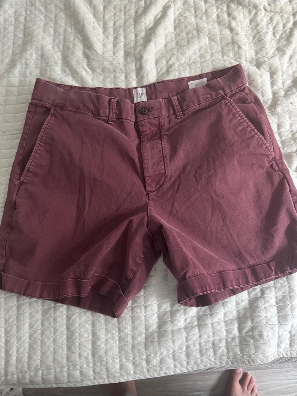 GAP Men's Dusty Mauve Cargo Shorts